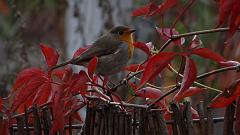 20121007_095622_005