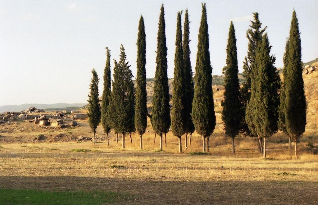 Turcja2002_169.jpg - Hierapolis